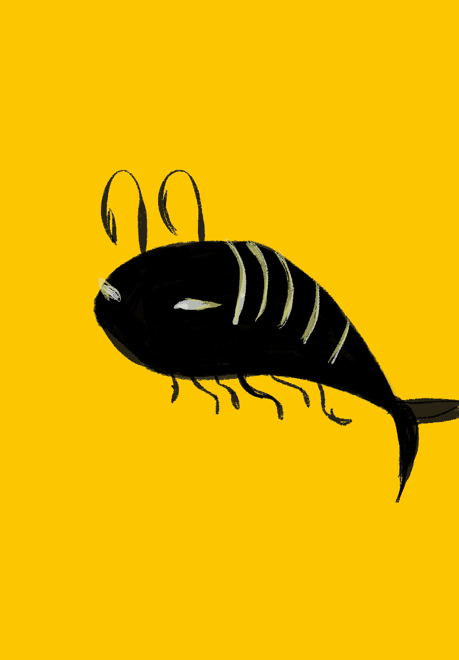 Muichiro