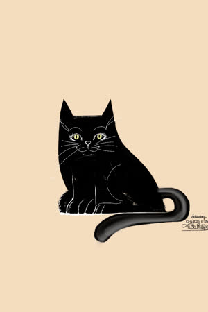 myblackcat1969