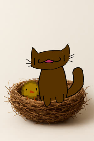 Meow Meow