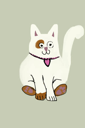 HiyD Loony lab