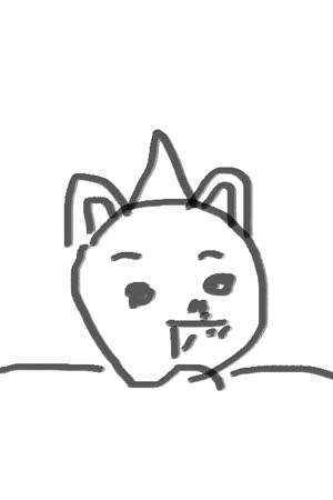 miraydoger
