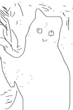 miraydoger