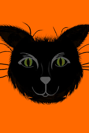 myblackcat1969