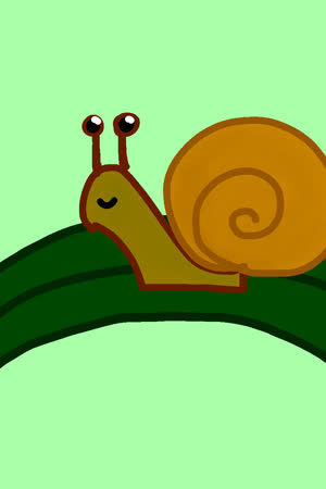 Noso4ek_s_avocado