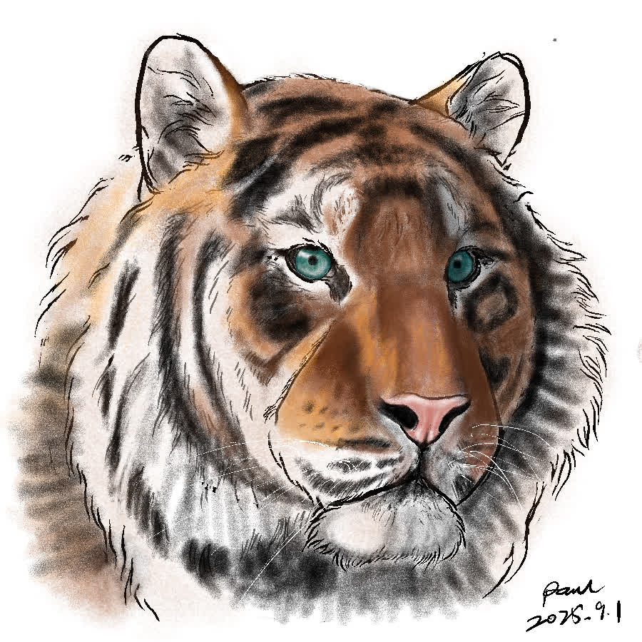 Close-up of a tiger's face with striped fur and bright teal eyes looking forward.