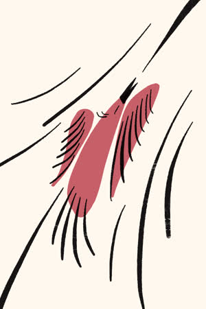Sketchar