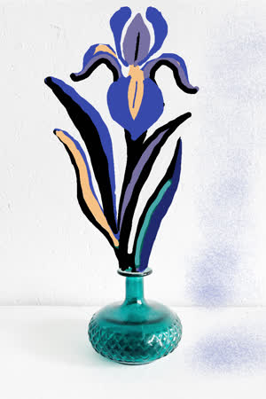 دریا Daria
