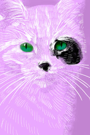 Sketchar