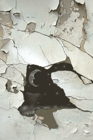 myblackcat1969