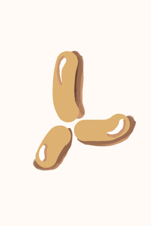 دریا Daria