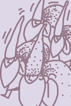 Sketchar