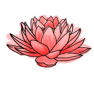 拾柒