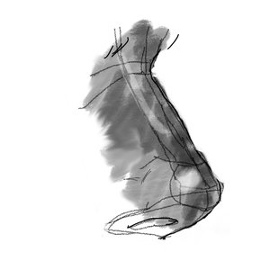 maelane.herpin