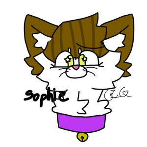 CrayZCat_SmashKarts