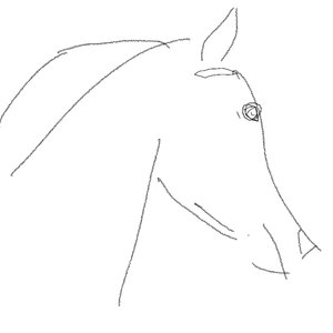 Movildev Cl