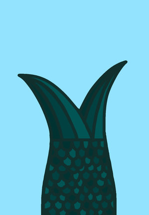 nono
