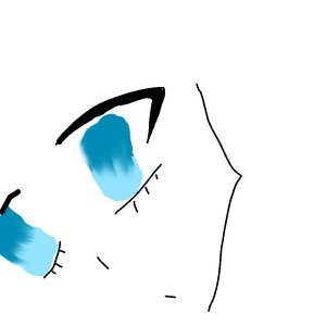 itdr