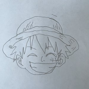 feli45x