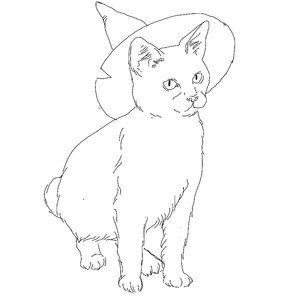 abdollanuria