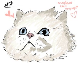 эляяяяя💖
