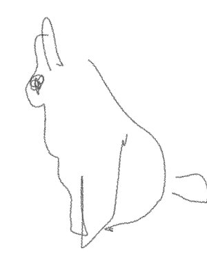 Pixiewixiewoo
