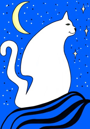 myblackcat1969