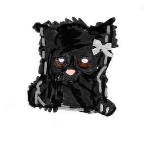 DASHI_STAR