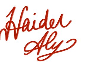 Haider Aly Abbasi