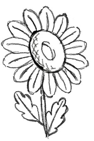 sunn.tran0116