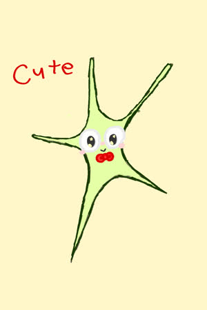 sara Cute