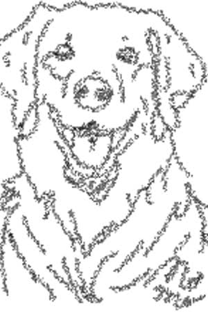 naveyboone
