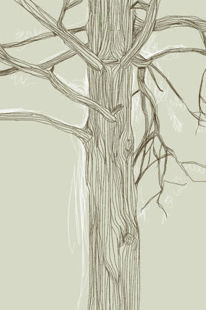 Sketchar