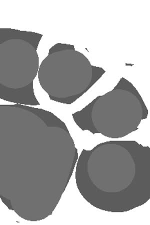parisbug