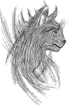 myblackcat1969