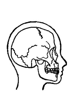 nono