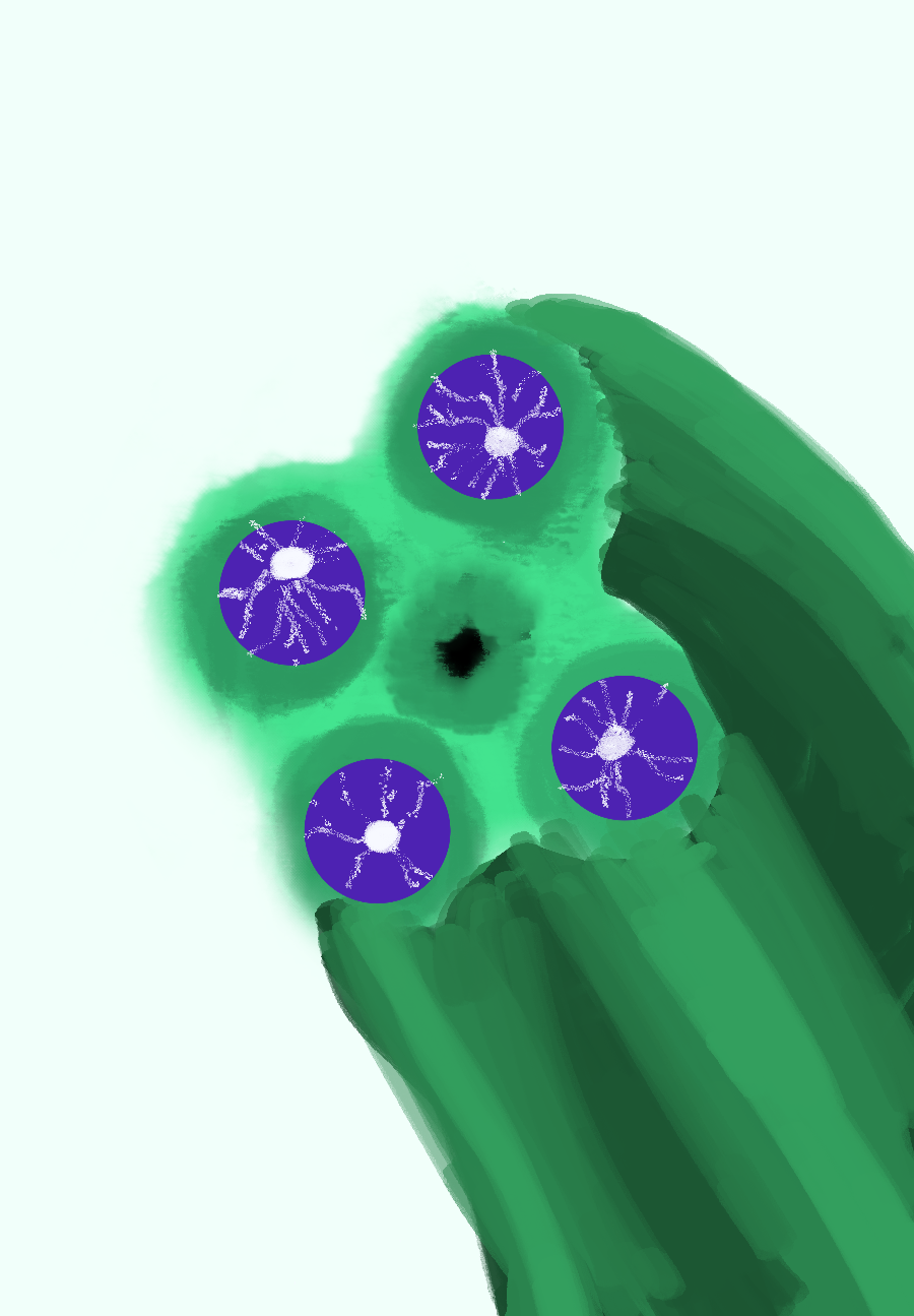 aiddaws