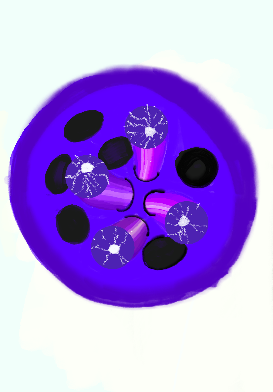 aiddaws