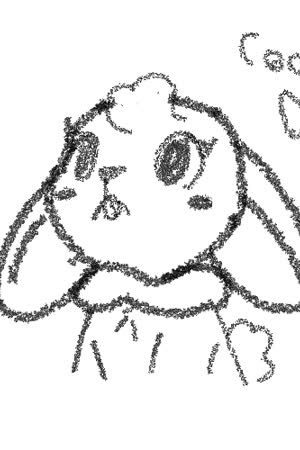 Ladybug