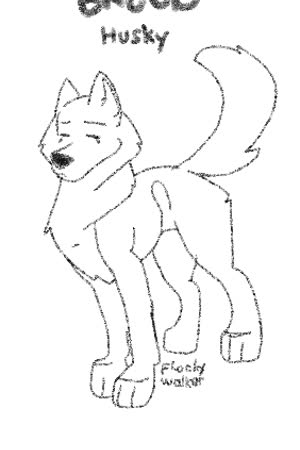 Zozo