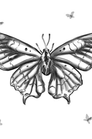 LOTSXFSOF