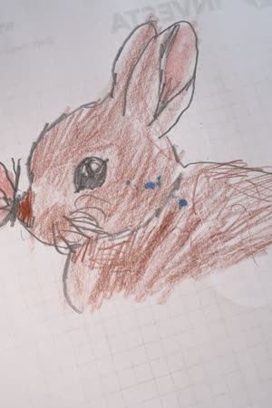 Ha Nula Buła Anima