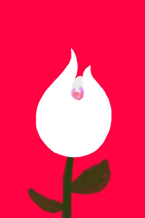 Ladybug