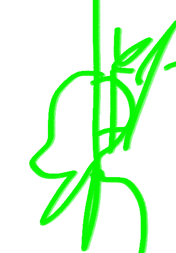 Smile Apple INC