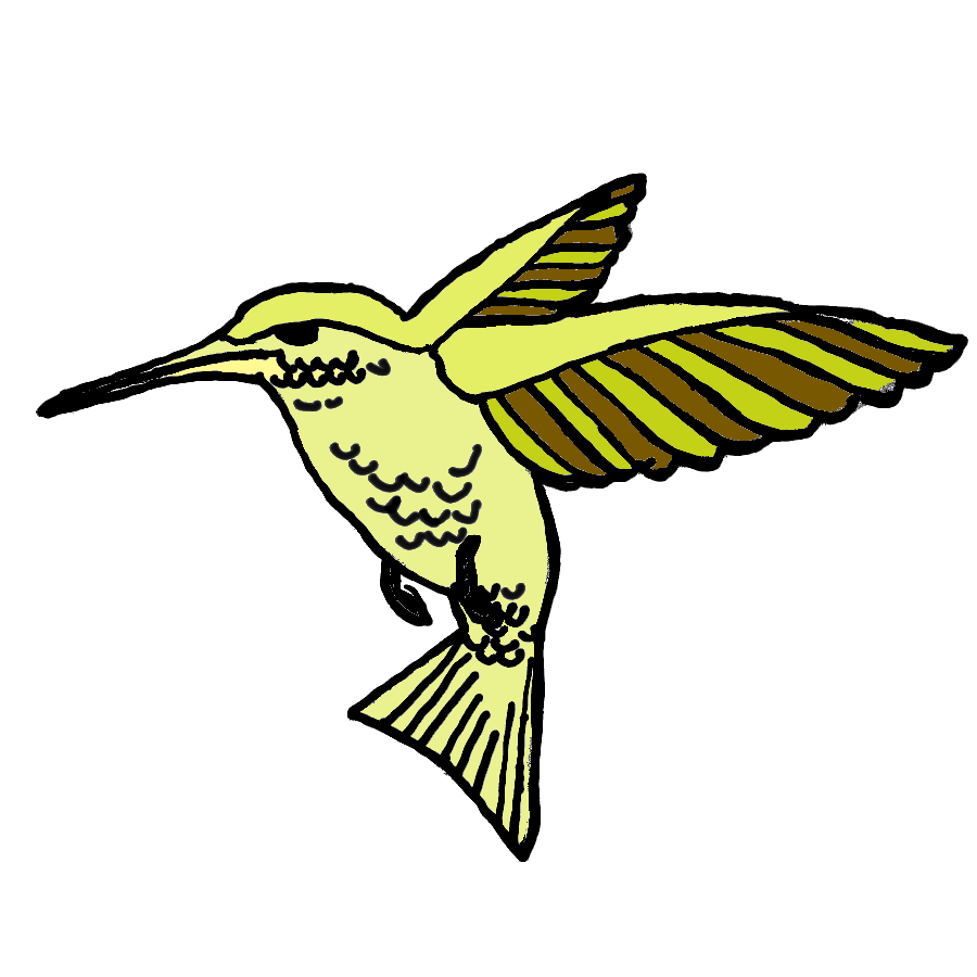 ksenksen086