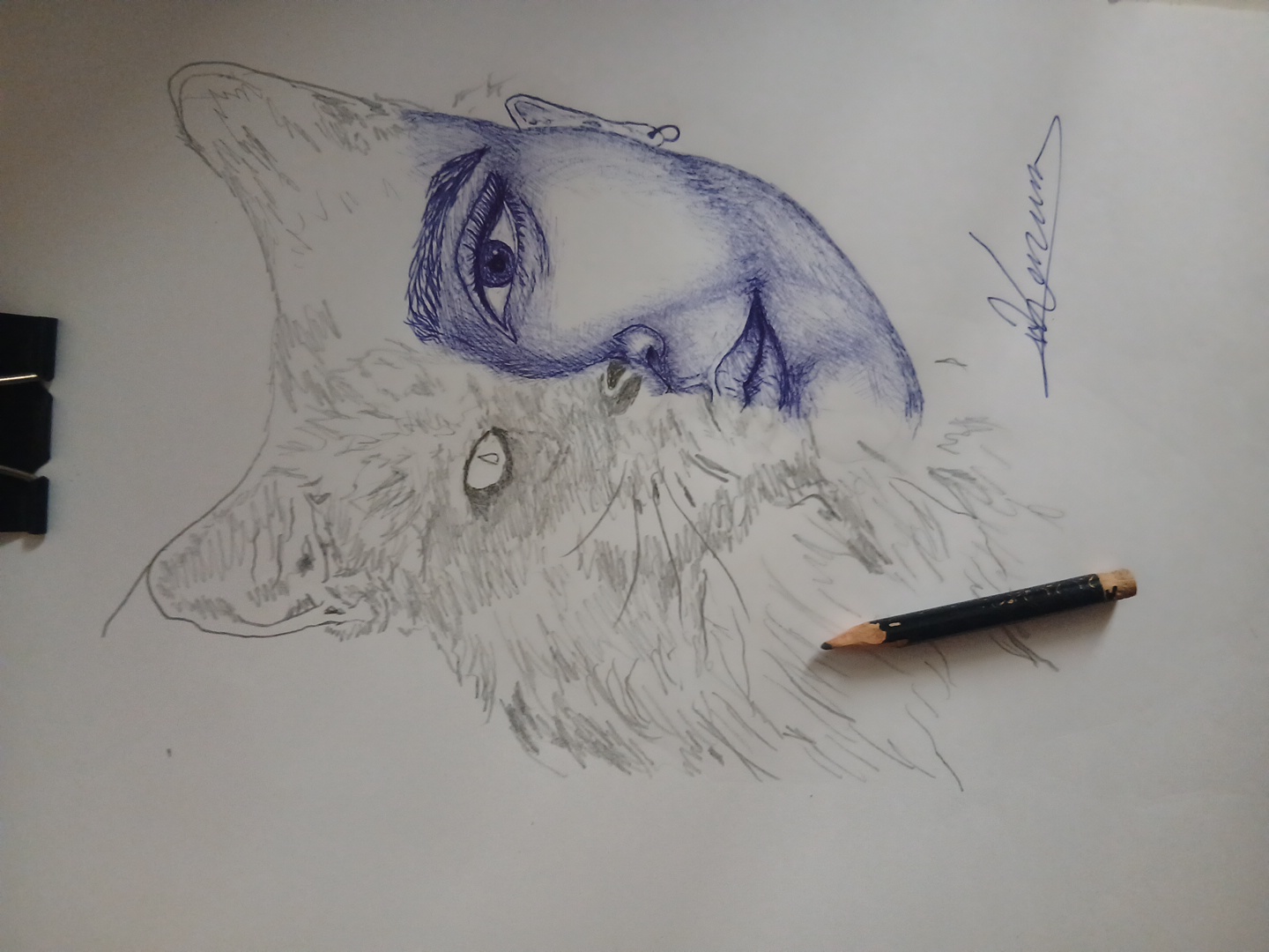 Karem Adel