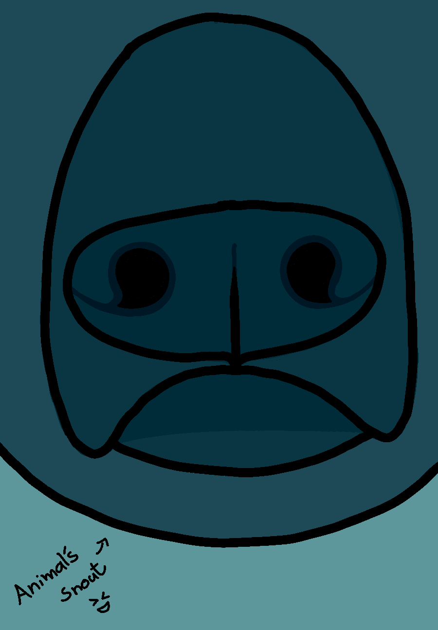 nono