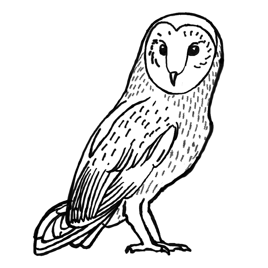 ksenksen086