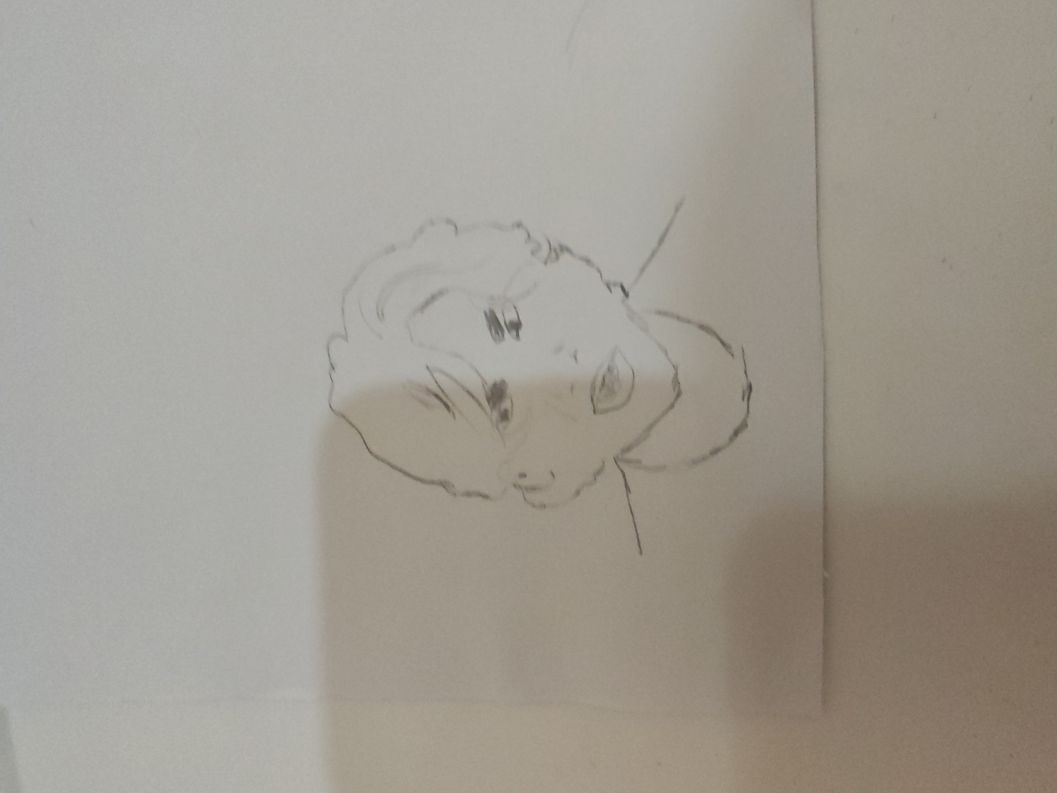 TEOMANIMM
