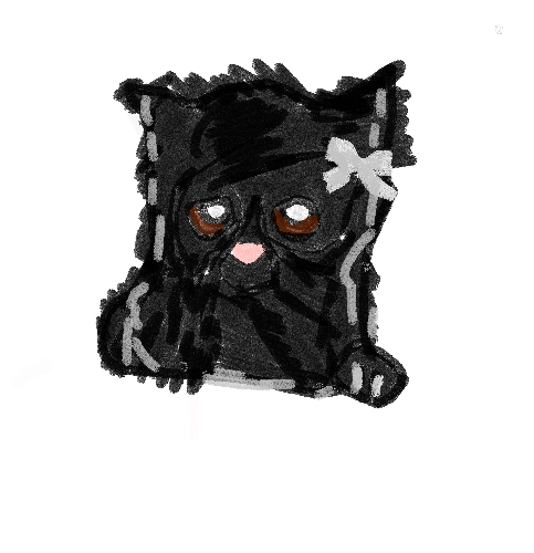DASHI_STAR
